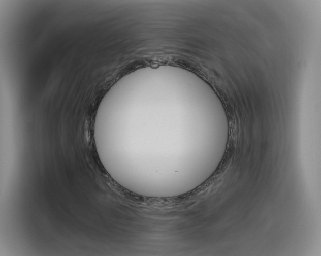 X0000114550962200910190948