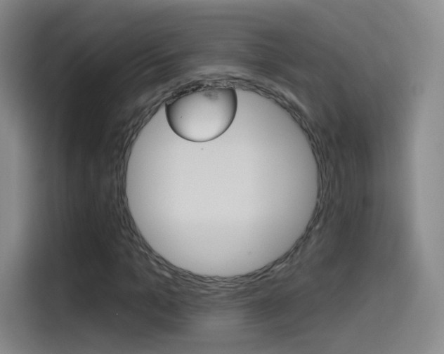 X0000114550965200910190948