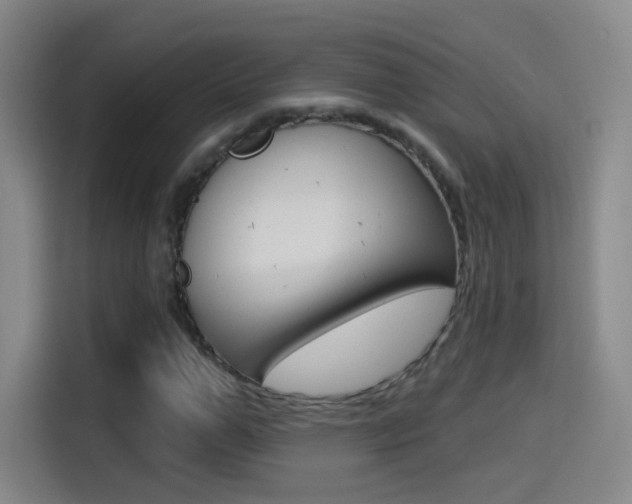 X0000114550967200910190948