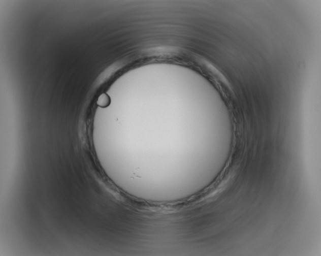 X0000114550970200910190948