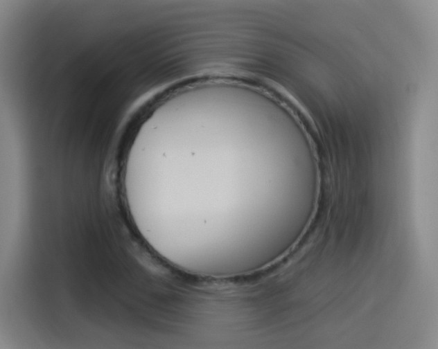 X0000114550971200910190948