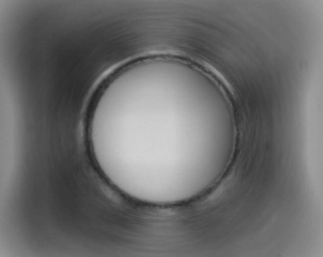 X0000114550975200910190948