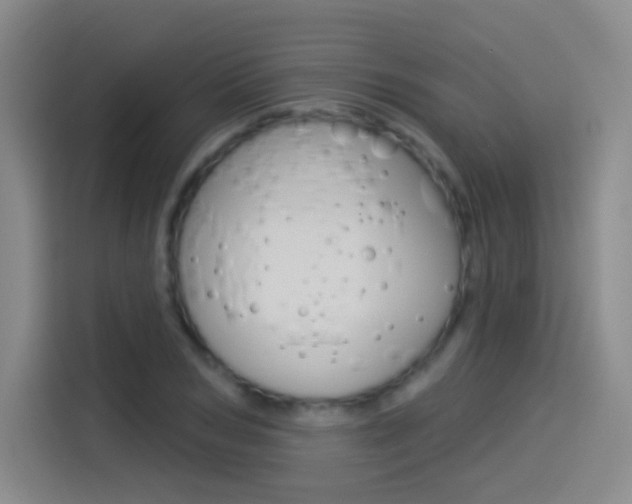 X0000114550978200910190948