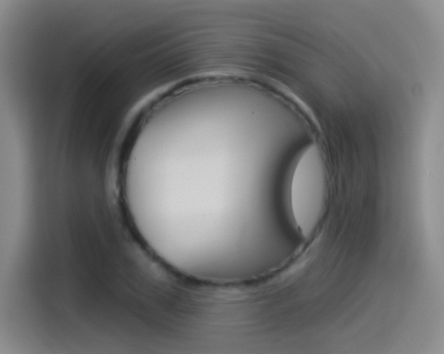 X0000114550979200910190948