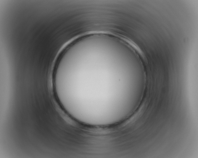 X0000114550980200910190948