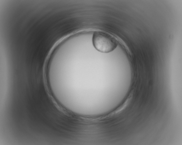 X0000114550981200910190948