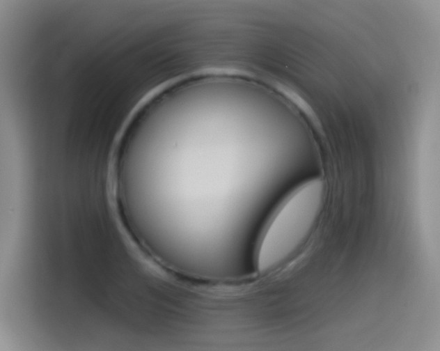 X0000114550984200910190948