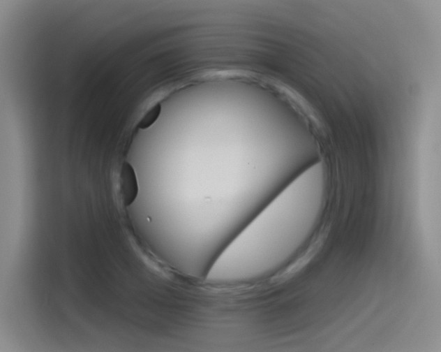 X0000114550985200910190948