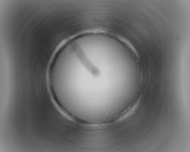X0000114550989200910190948
