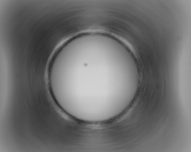 X0000114550990200910190948