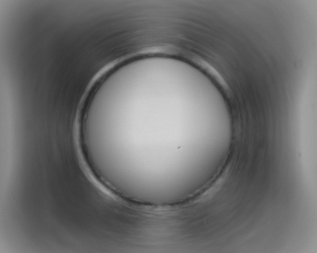 X0000114550991200910190948
