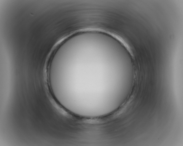 X0000114550998200910190947