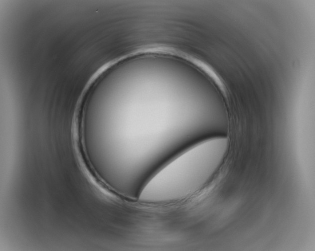 X0000114550999200910190947