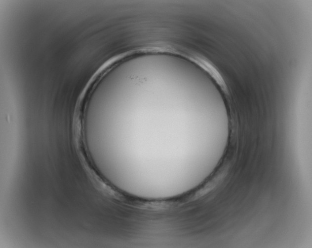X0000114551000200910190947