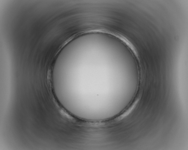 X0000114551001200910190947