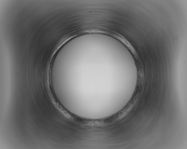 X0000114551002200910190947