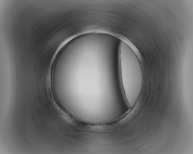 X0000114551004200910190947