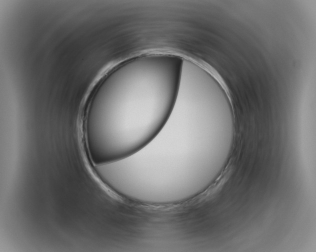 X0000114551005200910190947