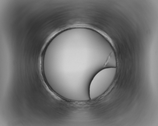 X0000114551006200910190947