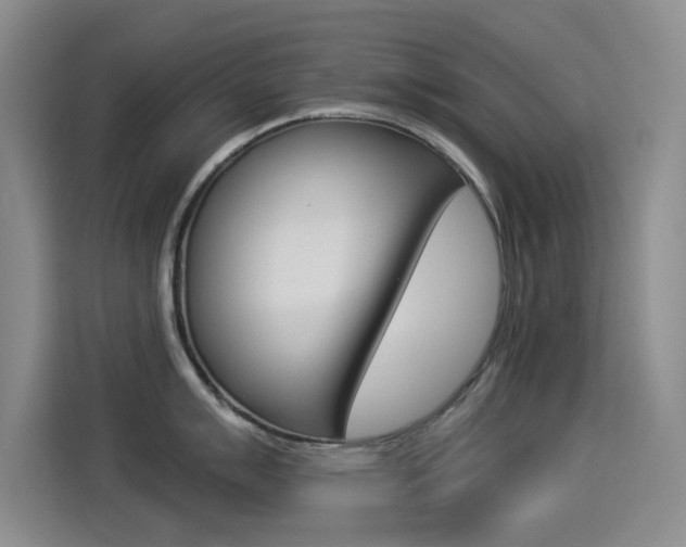 X0000114551007200910190947