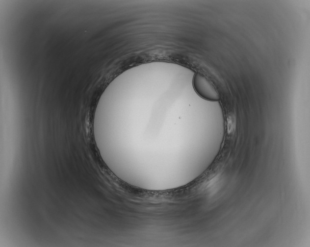 X0000114551011200910190947