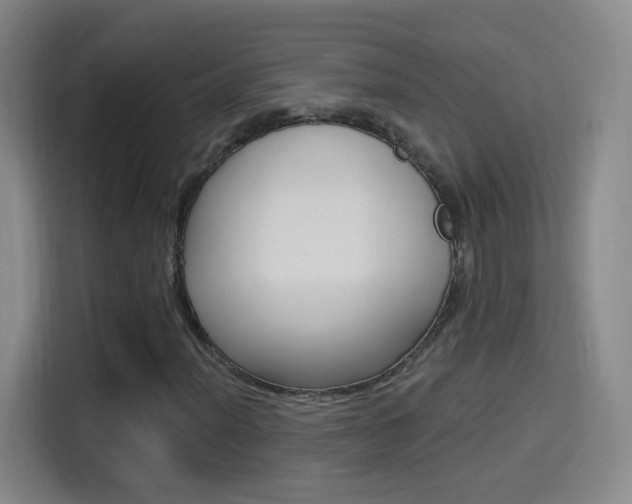 X0000114551012200910190947