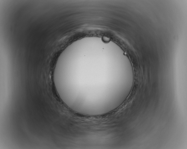 X0000114551013200910190947