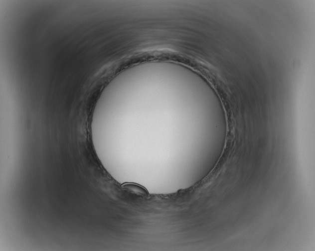 X0000114551014200910190947