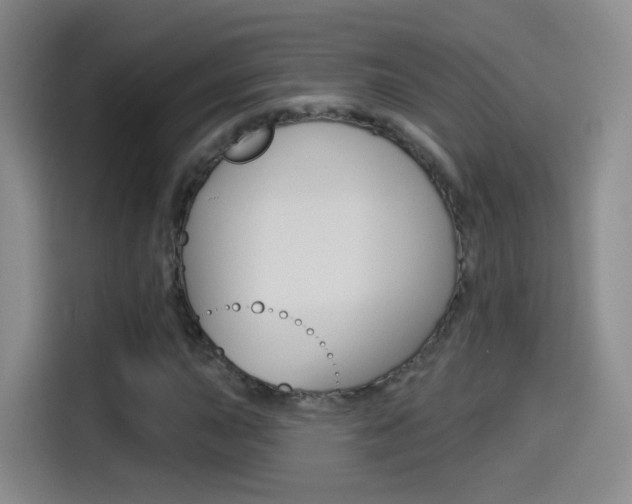 X0000114551015200910190947