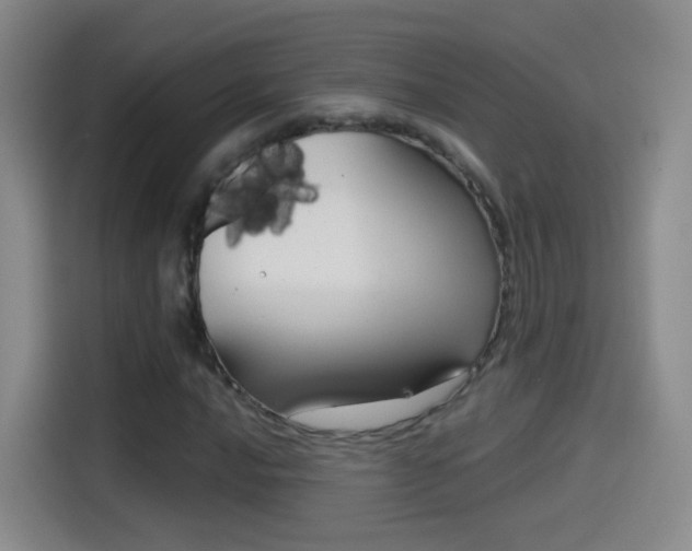 X0000114551016200910190947