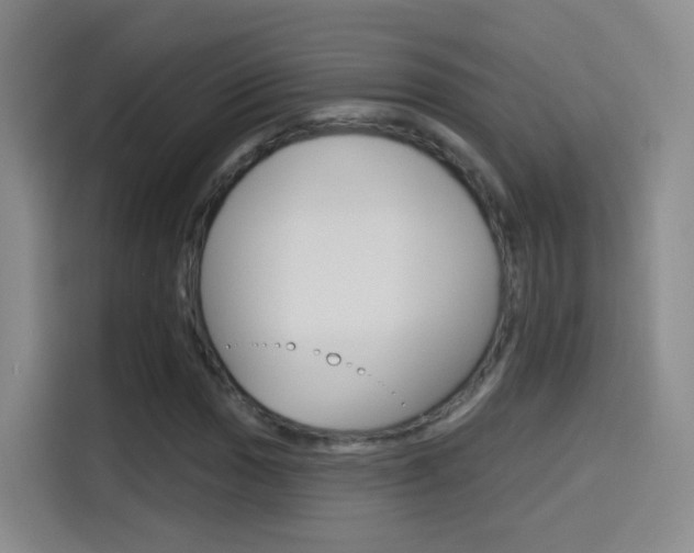 X0000114551017200910190947