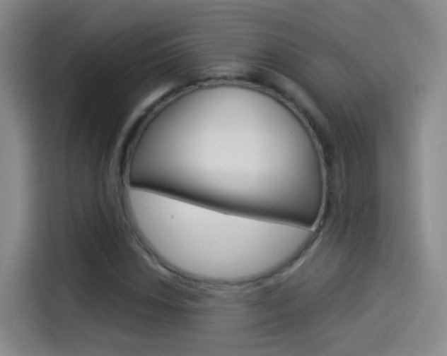 X0000114551018200910190947