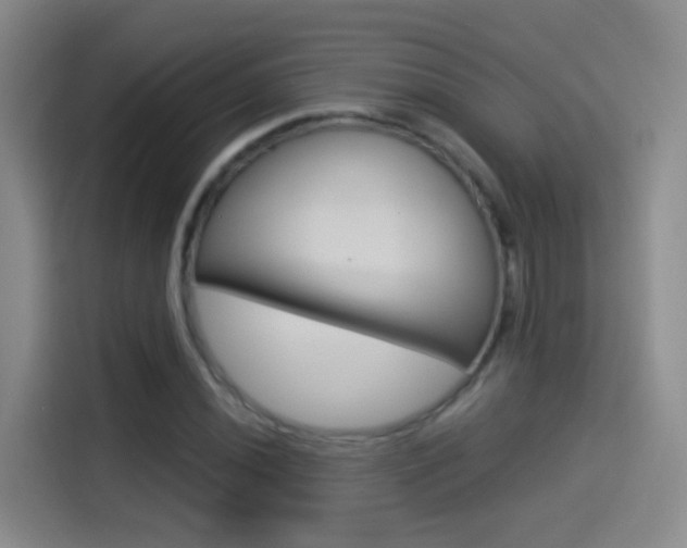 X0000114551020200910190947