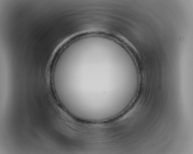 X0000114551021200910190947