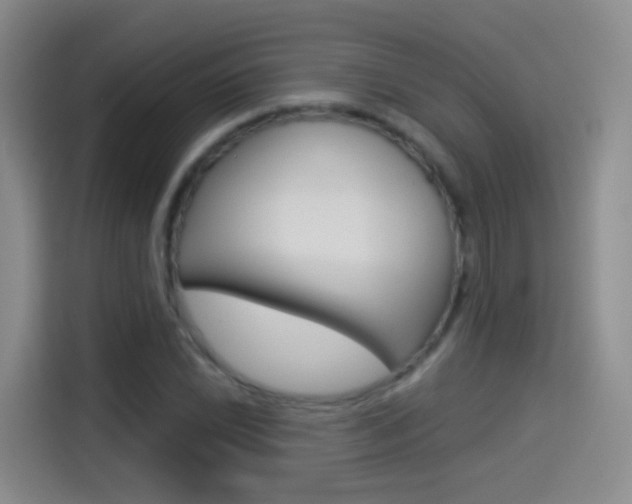 X0000114551022200910190947