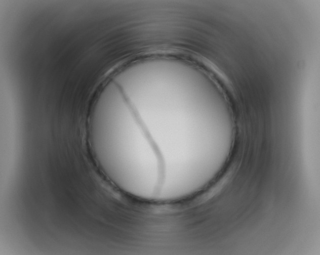 X0000114551025200910190947