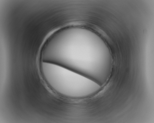 X0000114551030200910190947