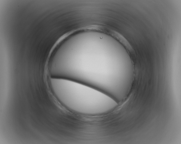 X0000114551036200910190947