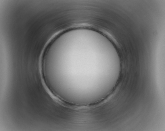 X0000114551038200910190947
