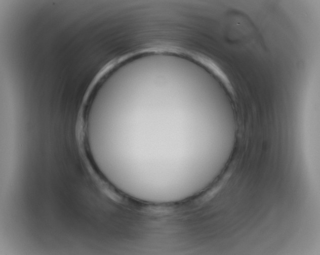 X0000114551040200910190947