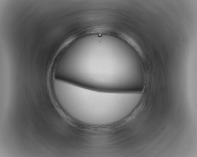 X0000114551042200910190947