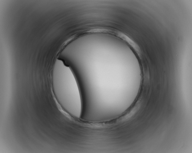 X0000114551049200910190947