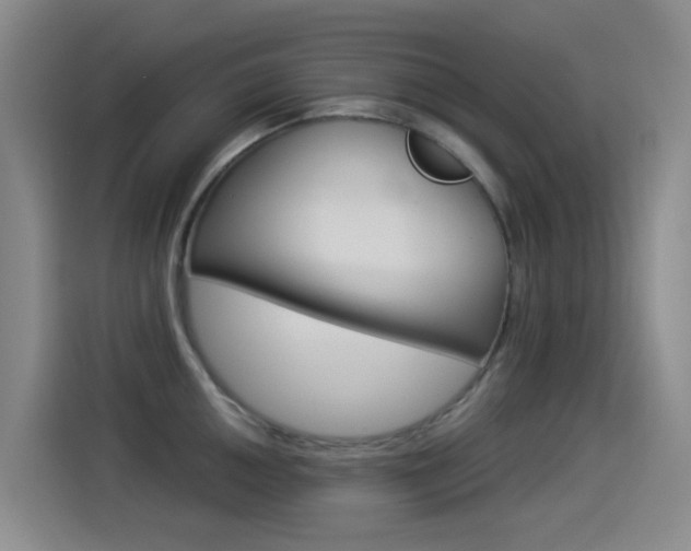 X0000114551050200910190947