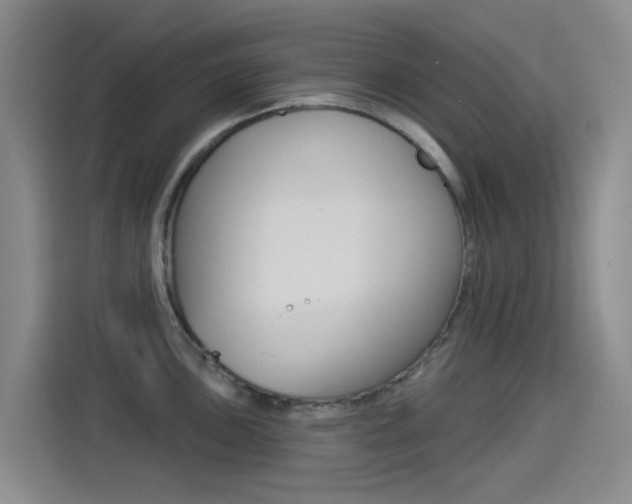 X0000114551051200910190947