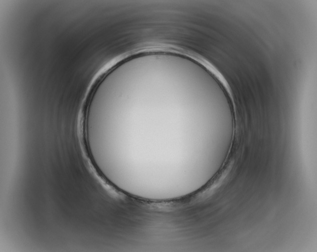X0000114551053200910190947
