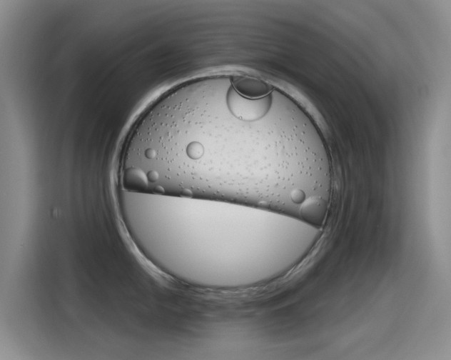 X0000114551054200910190947