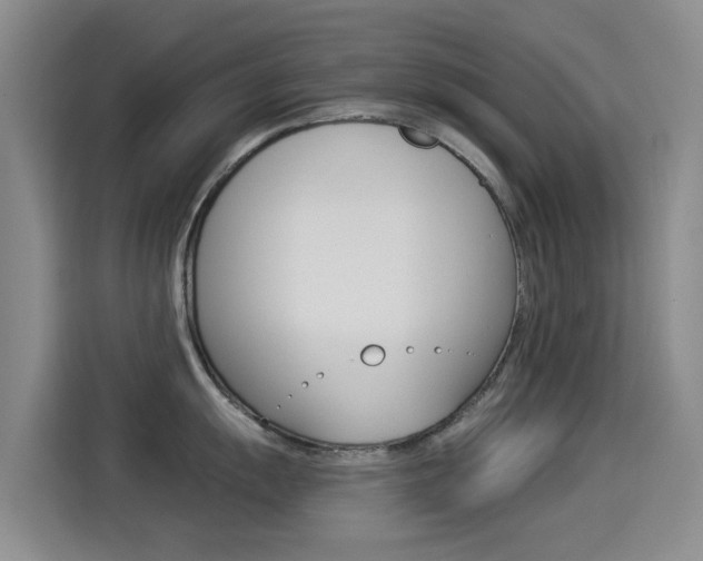 X0000114551055200910190947