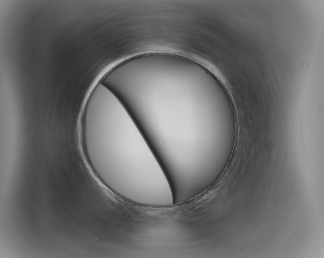 X0000114551056200910190947