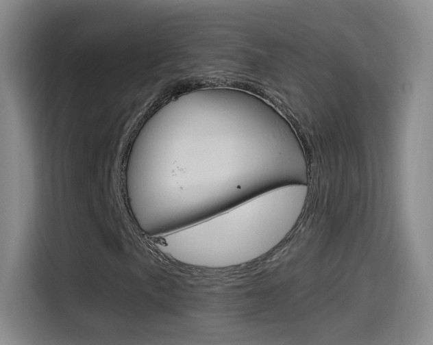 X0000114551057200910190947