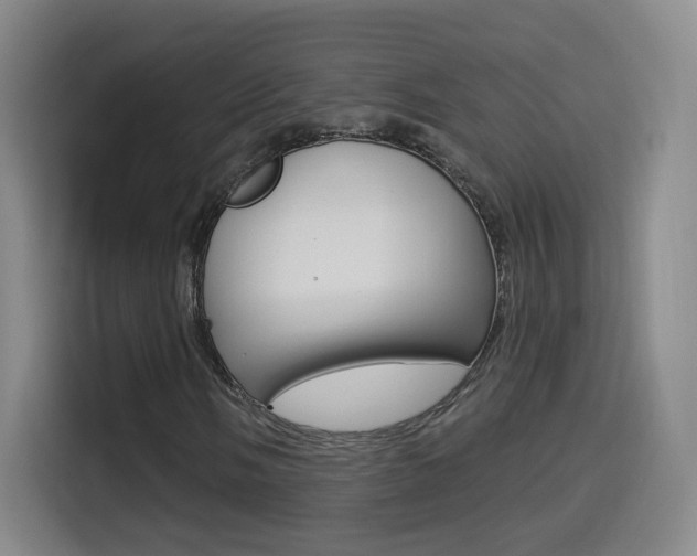 X0000114551058200910190947